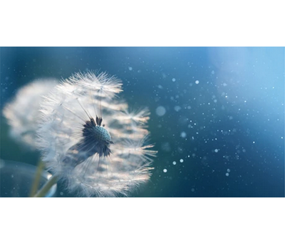 windTemp
